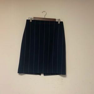 Express  skirt